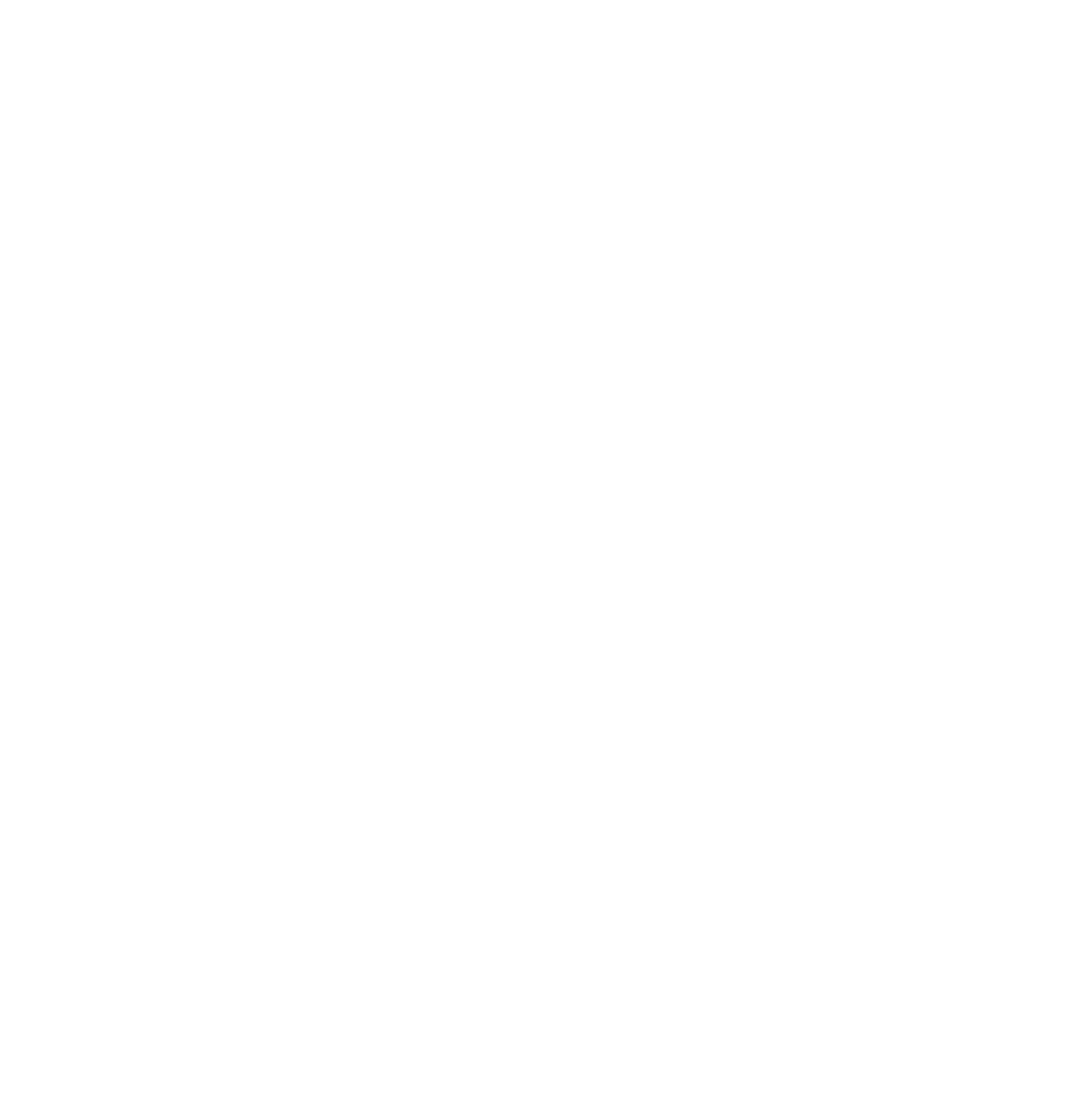 Arion Capital Logo